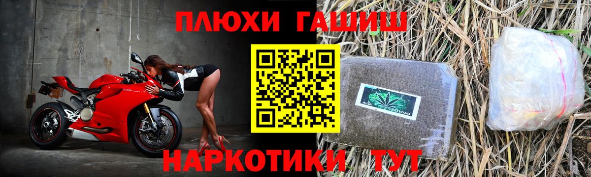 ГАШ Premium Елизово
