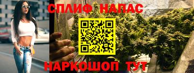 ешки Гатчина